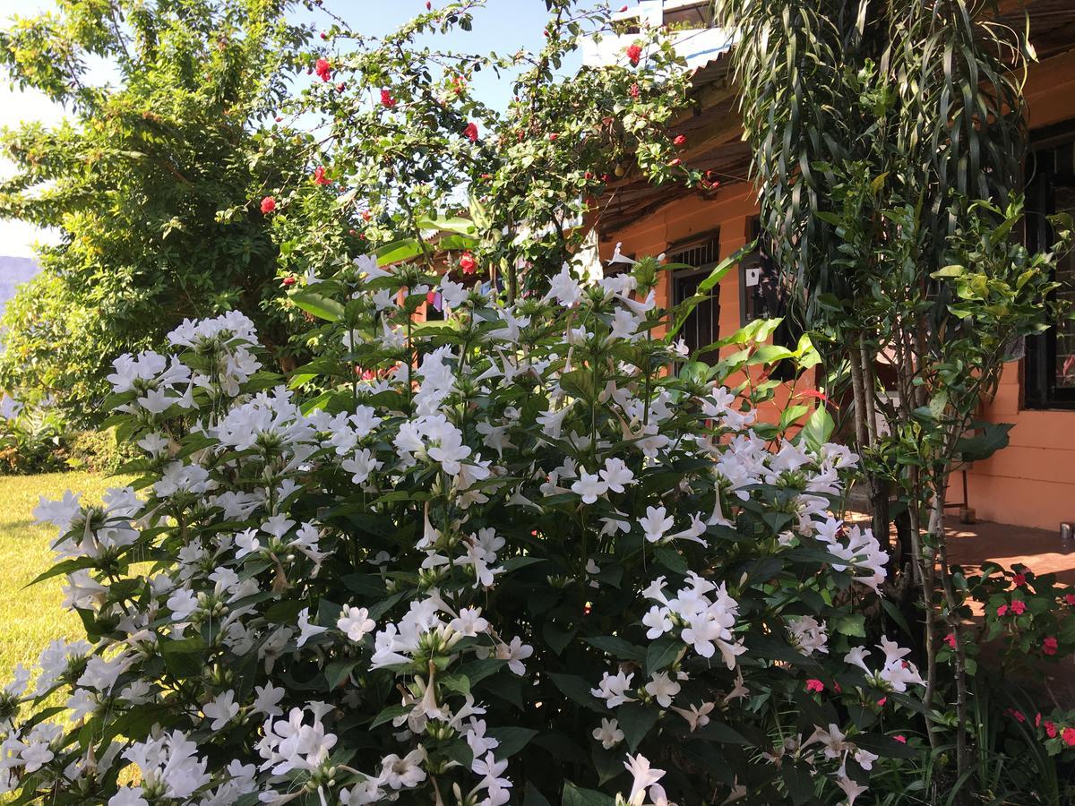 Hidden Paradise Guest House Pokhara Kültér fotó